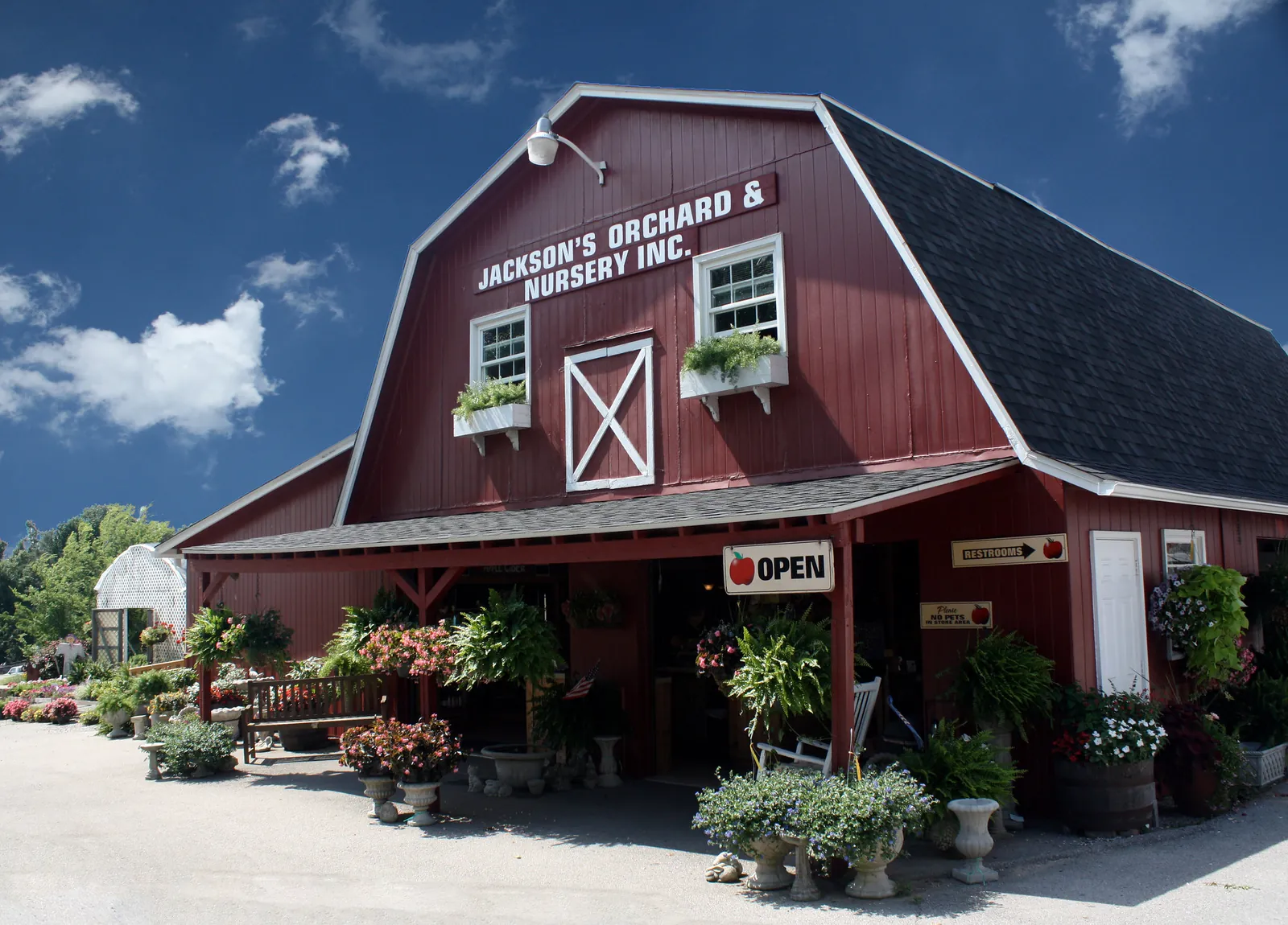 Hanging baskets and potted plants outside the red barn at Jackson's Orchard and Nursery in Bowling Green